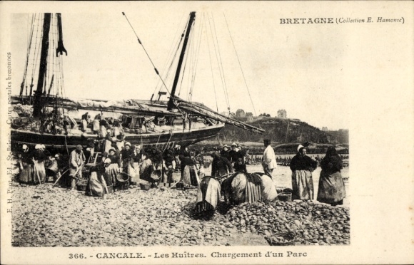 CPA Cancale Ille et Vilaine, Les Huîtres, Chargement d'un Parc