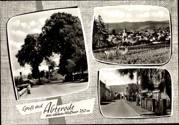 Ak Abterode Meißner, straatdelen, totaalbeeld van het dorp