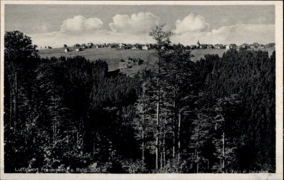 Postcard Frauenwald am Rennsteig Ilmenau in Thuringia, panorama, forest