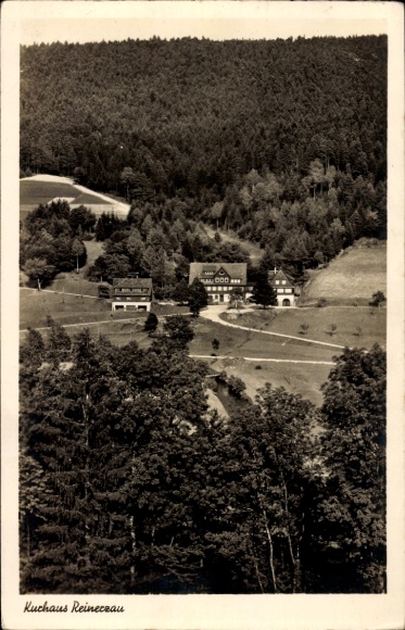 Ak Reinerzau Alpirsbach im Schwarzwald, Gesamtansicht