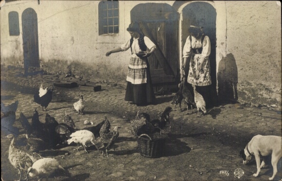Ak Frauen füttern Hühner, Bauernhof, Hund, Volkstracht