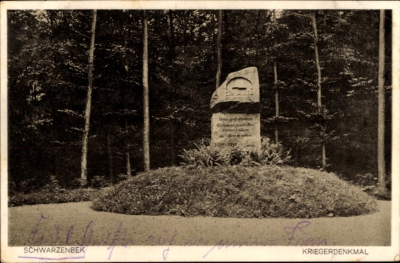 Ak Schwarzenbek in Lauenburg, oorlogsmonument, bos, herdenkingsplaats, swastika