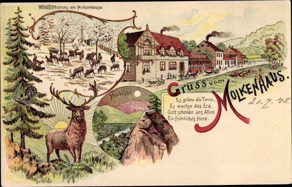 Chromo-Litho Bad Harzburg am Harz, Gasthof Molkenhaus, wild feeding, Muxklippe
