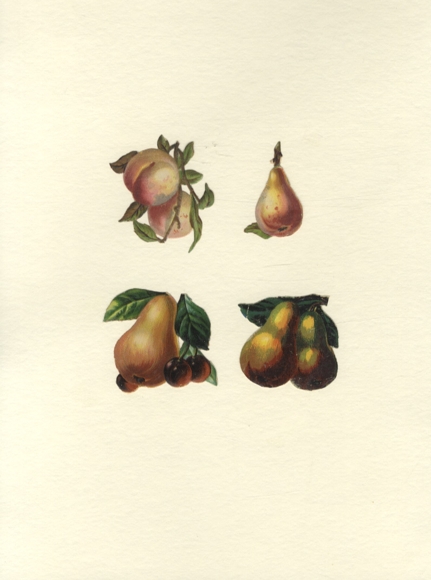 4 Oblaten Birnen, Kirschen, Pfirsiche, ca. 5 x 5 cm und 5 x 3 cm