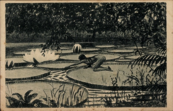 Art Nouveau Artist Postcard Fidus, Victoria Regia, Charcoal Print, Water Lilies