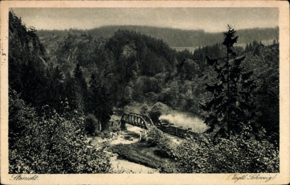 Ak Steinicht Cossengrün, Brücke mit Lokomotive, Wälder