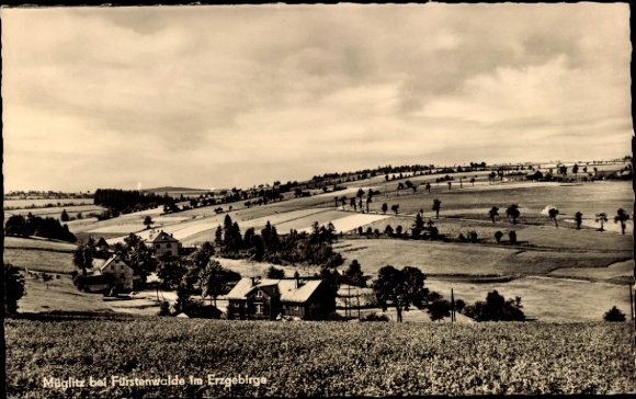 Ak Müglitz Altenberg im Erzgebirge, Panorama