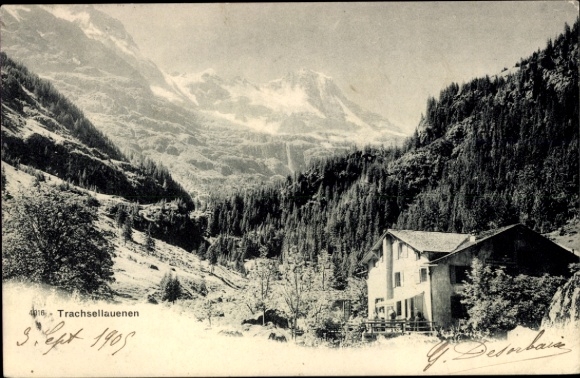 KP Trachsellauenen Lauterbrunnen Kanton Berno, dom, las, góry