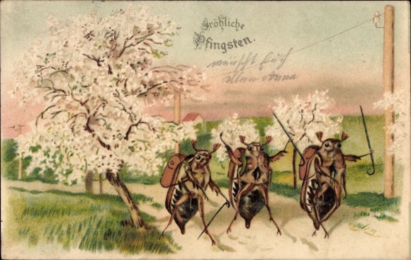 Litho Maikäfer, Baumblüte, Wanderer