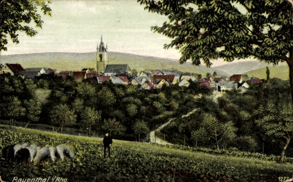 Postcard Rauenthal Eltville am Rhein Hessen, general view