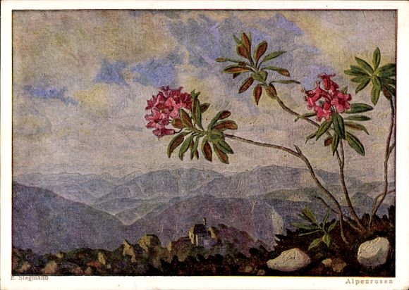 Artist Postcard Stegmann, E., Alpine roses