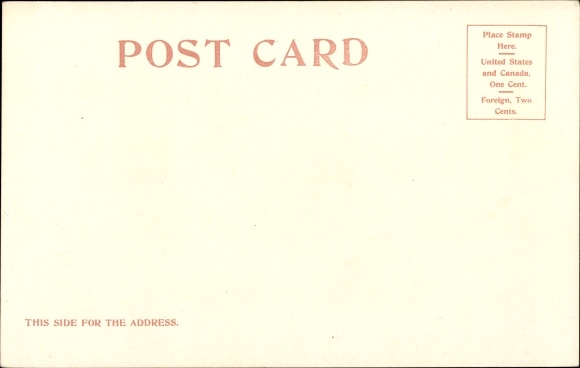 Postcard Hot Springs Arkansas USA, an ostrich trotting