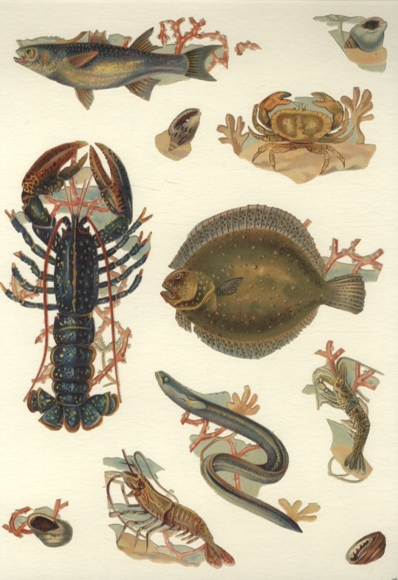 11 wafers fish, lobster, crab, mussels, approx. 15 x 8 cm to 2 x 2 cm