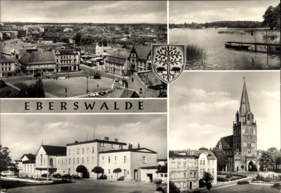 Foto Melle in Niedersachsen, Ort um 1767, Domino Friderico