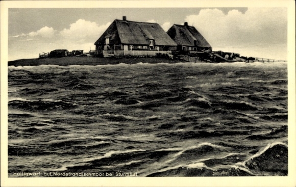 Ak Hallig Nordstrandischmoor Nordstrand in Noord-Friesland, Halligwarft