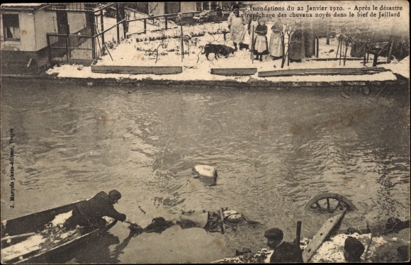 CPA Troyes Aube, Inundations 1910, Apres le desastre repaschage des chevaux noyes, bief de Jaillard