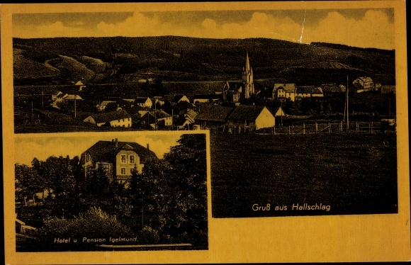 Ak Hallschlag Rheinland-Pfalz, Gesamtansicht, Hotel Igelmund