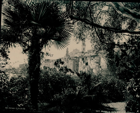 Chromotype Menton Alpes Maritimes, The Old Town and the Palm Trees