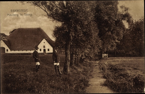 Ak Tating in Noord-Friesland, Eiderstedter Land, Hauberg