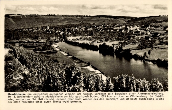 Postcard Mundelsheim am Neckar Württemberg, wine village on the Neckar, surrounded by vineyards, description