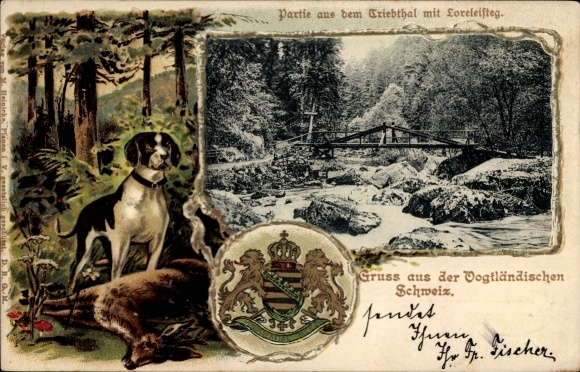 Embossed coat of arms passepartout Postcard Pöhl Vogtland, Triebtal, Loreleisteg, hunting motif