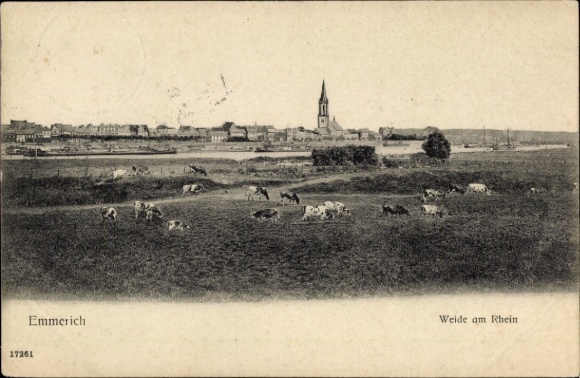 Postcard Emmerich am Niederrhein, landscape with cows, city view, church, Rhine
