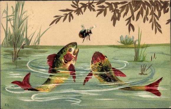 Postcard Two fish in the water observe a fly