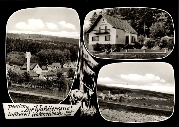 Postcard Waldholzbach Losheim am See Saarland, pension to the forest terrace, owner A. Barth
