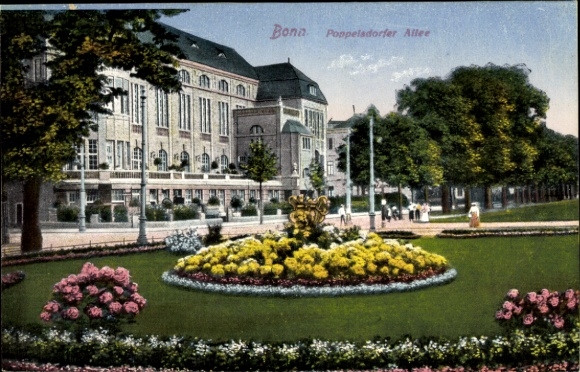 Ak Bonn am Rhein, Poppelsdorfer Allee, Teilansicht