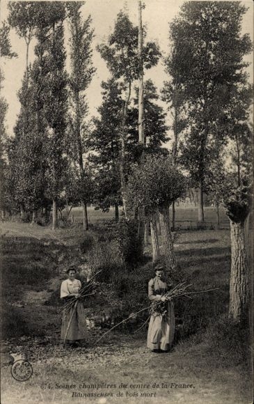 Ak Waldpartie, Holzsammlerinnen