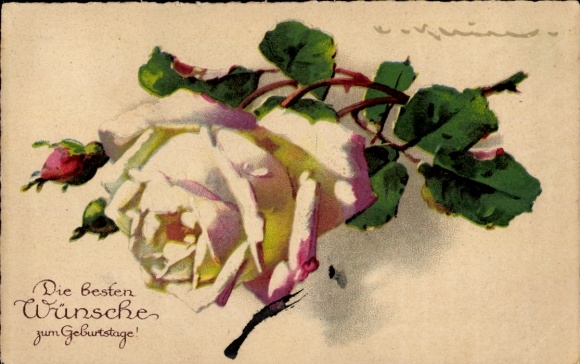 Artist Postcard Klein, Catharina, Best wishes for your birthday, roses