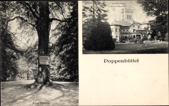 PC Hamburg Wandsbek Poppenbüttel, old beech, Hohenbuchen mansion
