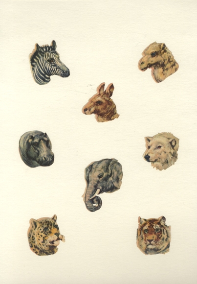 8 wafer heads of zebra, tiger, elephant, camel, hippopotamus etc., each approx. 4 x 4 cm