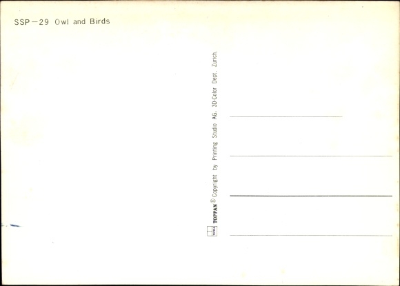 3-D Postcard Owl and three birds on a branch, butterflies, flowers