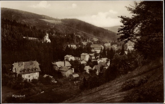 Ak Kipsdorf Altenberg Erzgebirge, Talblick auf den Ort, Wohnhäuser, Wald