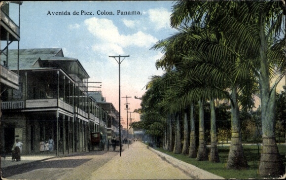 Postcard Panama, view of Avenida de Piez, Colon, avenue of palm trees