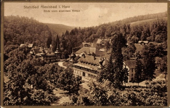 Ak Alexisbad Harzgerode am Harz, Historische Ansicht, Landschaft, Gebäude, Wald, Eisenkreuz