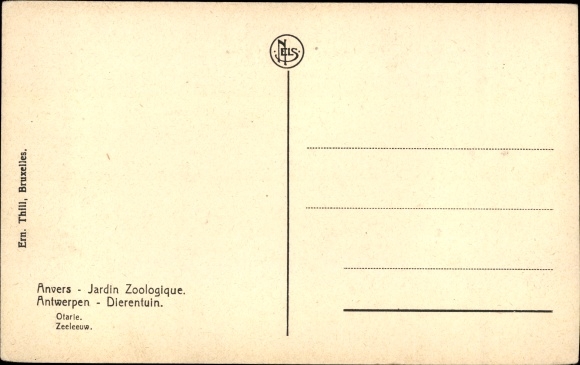 Postcard Anvers Antwerp Flandern, Jardin Zoologique, Robbe