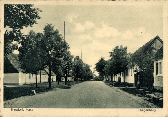 Ak Neudorf Harzgerode am Harz, Langenberg