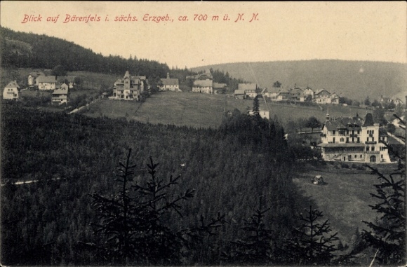 Postcard Bärenstein Altenberg Erzgebirge, view of Bärenfels, landscape, houses, forest, mountains