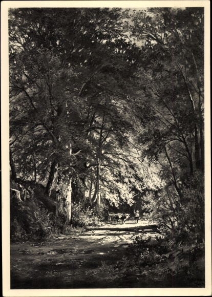 Artist Postcard Halberg Krauß, F., Waldhohlweg, HDK 631