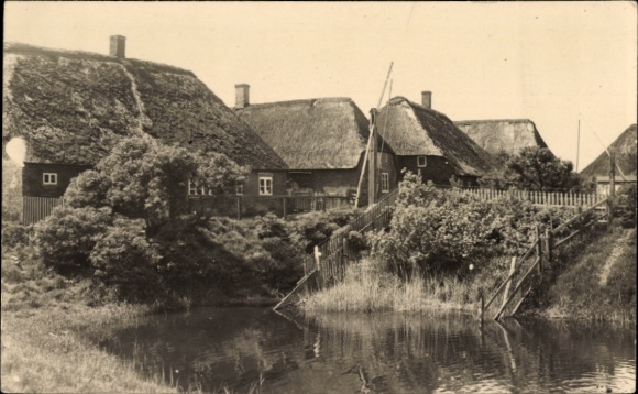 Ak Hallig Hooge in Nordfriesland, Friesenhäuser, ländliche Idylle, Teich, verschiedene Gebäude, N