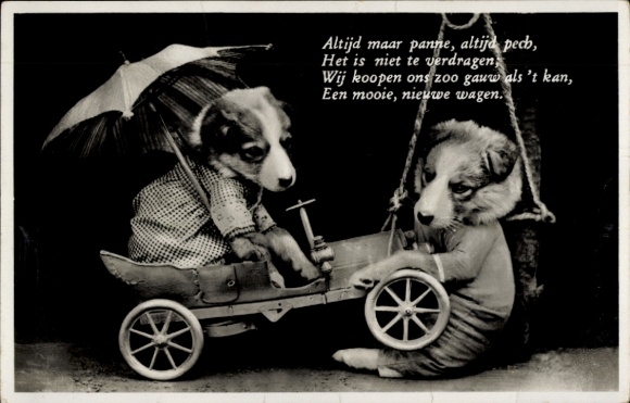 Postcard Humanized Dogs, Car, Umbrella