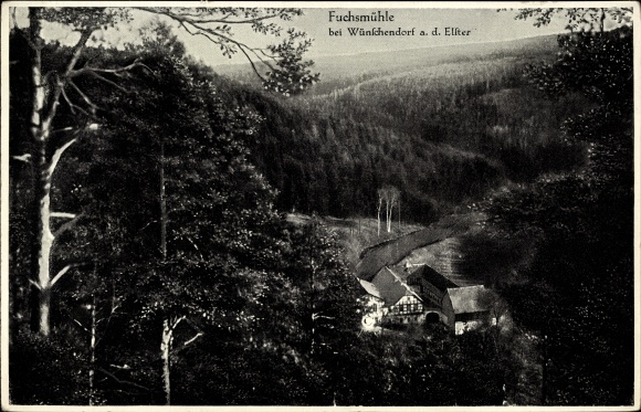 Ak Wünschendorf an der Elster, Fuchsmühle, Außenansicht, Vogelschau, Wald