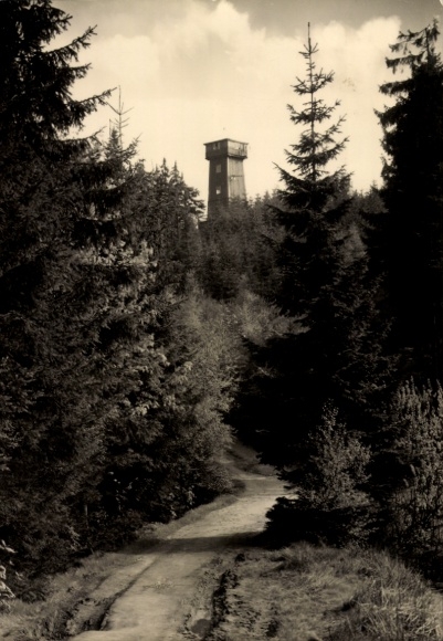 Ak Schönberg Rosenbach in Vogtland, Kapellenbergtoren, bos