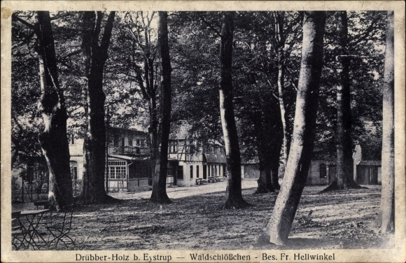 Postcard Eystrup Drübber Holz Lower Saxony, Waldschlößchen