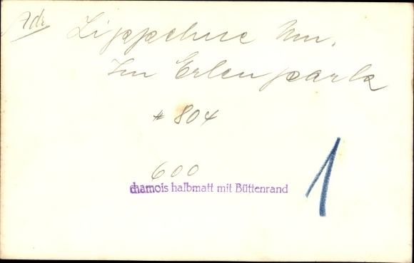 Fot. Lippehne Lipiany Wschodnia Brandenburgia, Park Sowy