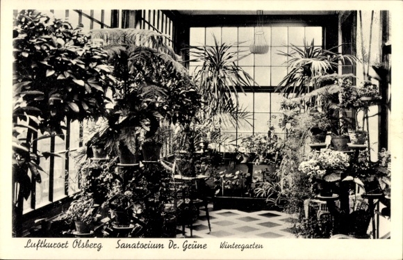 Ak Olsberg im Sauerland, Sanatorium Dr. Grüne, Wintergarten