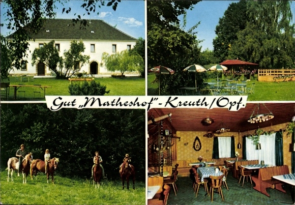 Ak Kreuth Rieden Oberpfalz, Gut Matheshof, Pferde, Speiseraum, Garten