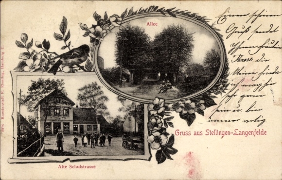 Ak Hamburg Eimsbüttel Stellingen Langenfelde, Alte Schulstraße, Allee